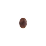 حجر الظليل