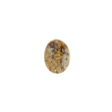 حجر طحلبي عسلي