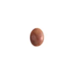 حجر  دفء الغروب