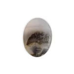 ⁦حجر شجرة الضباب⁩ - الصورة ⁦2⁩